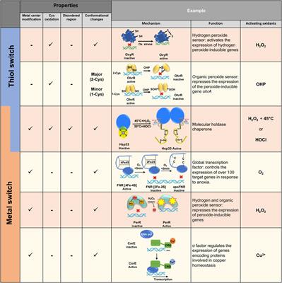 The Central Role of Redox-Regulated Switch Proteins in Bacteria